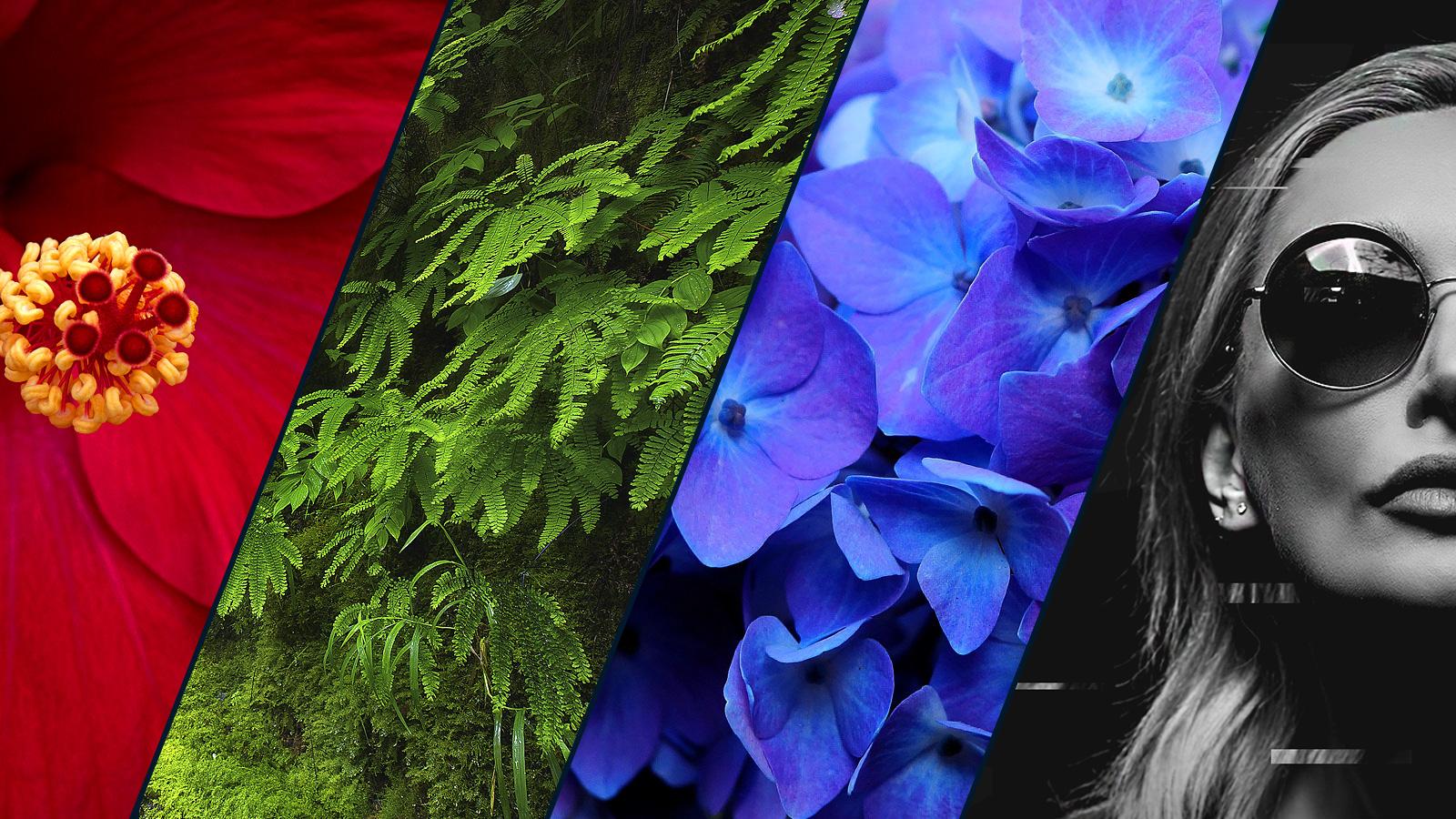 Four examples showing red, green, blue, and gray color palettes---the latter one used in dark UI color palettes.