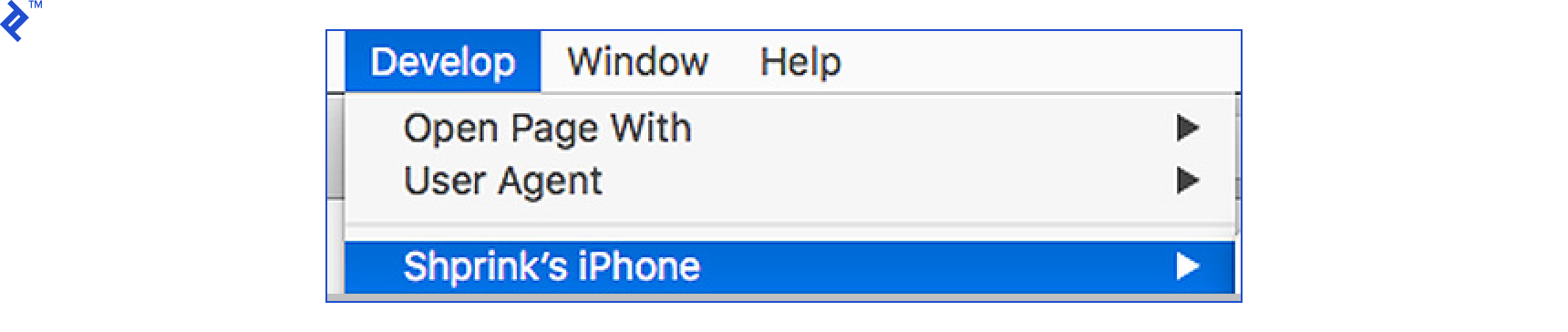 Image: Safari Dev Tools