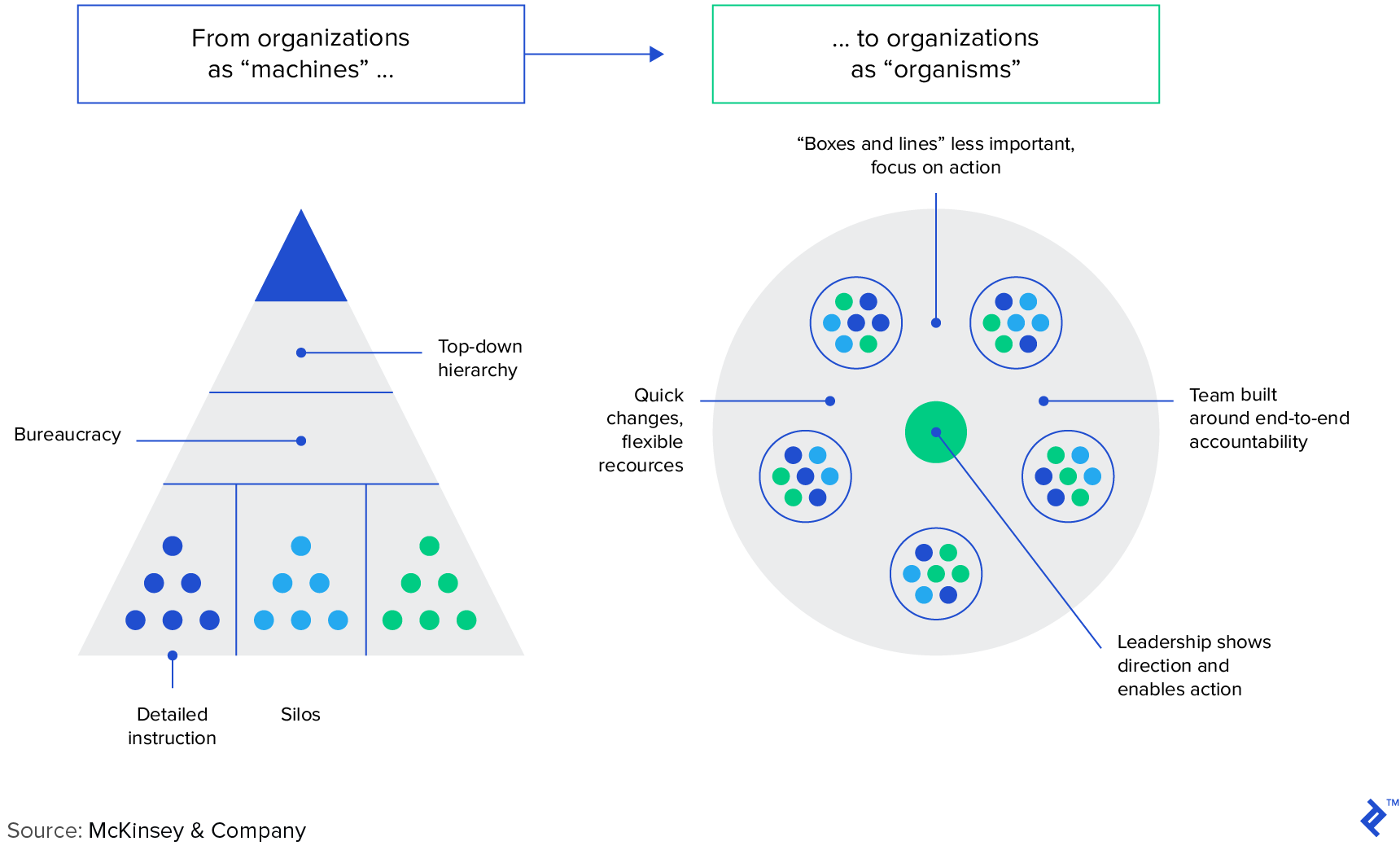Framework for agile organizations
