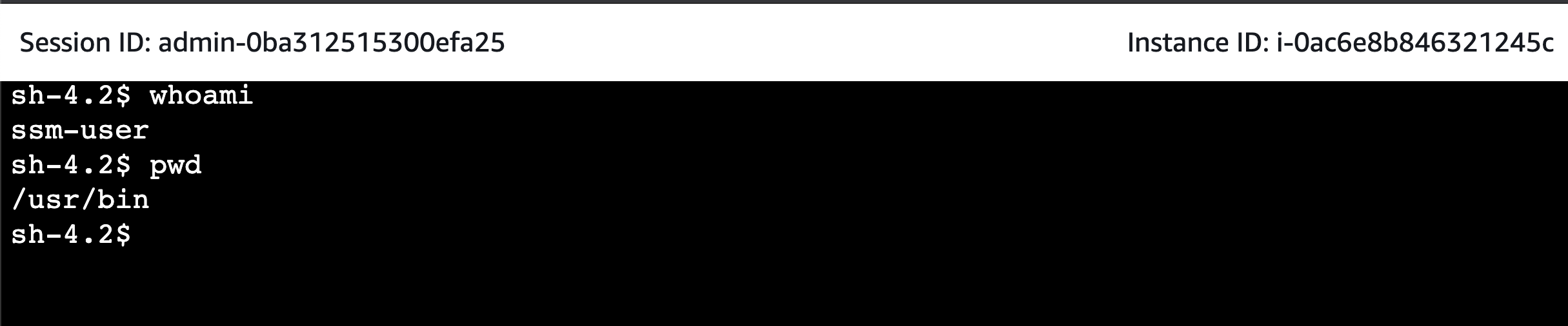 A screenshot of AWS with a session ID and instance ID above a terminal. The prompt is "sh-4.2$" and the commands "whoami" and "pwd" have been entered, with the outputs "ssm-user" and "/usr/bin" respectively.