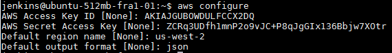 AWS JSON Default Output Format