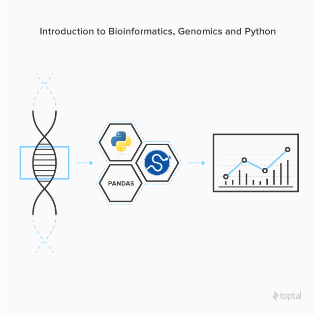 The Comprehensive Introduction To Your Genome With SciPy