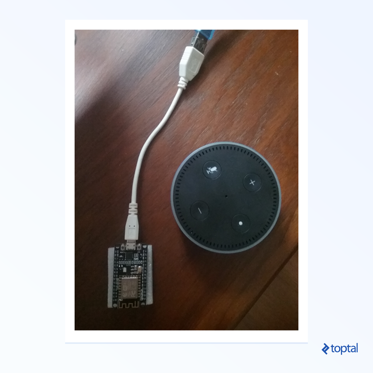 Photograph of ESP8266 attached to adapter, next to Echo Dot