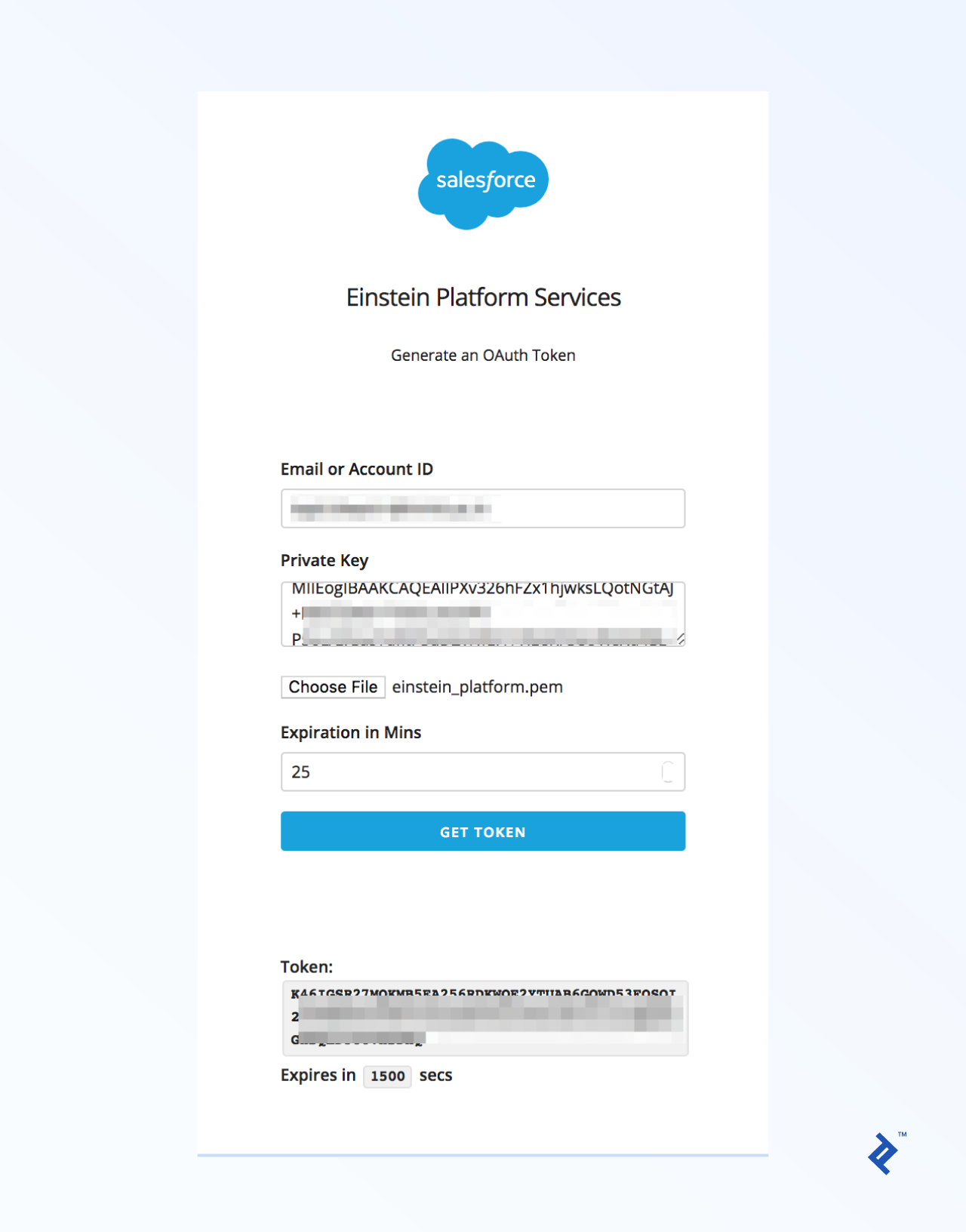 Generating an Einstein Platform Services OAuth token using your private key.