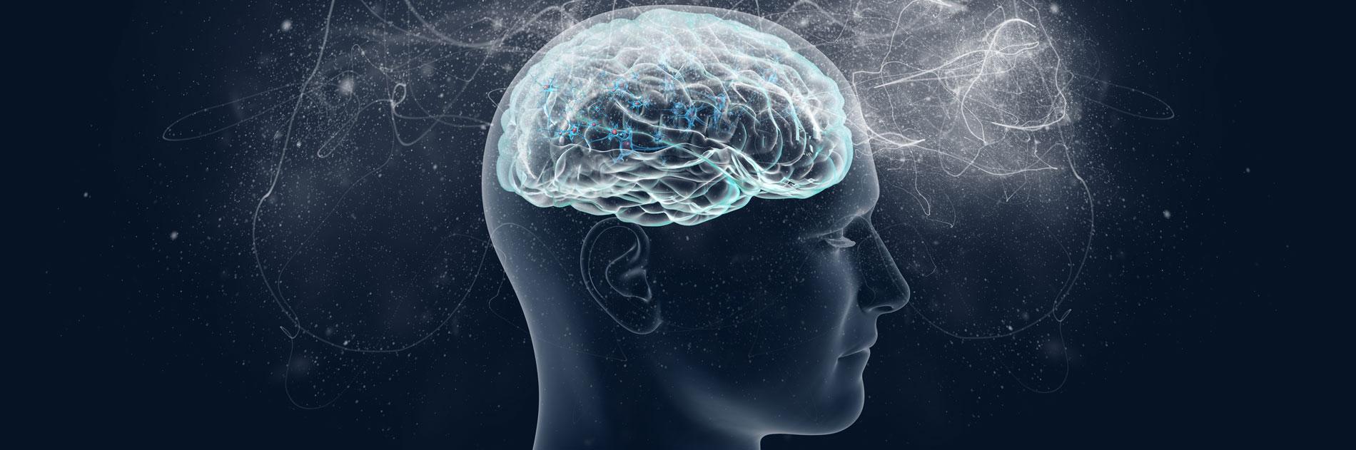 design psychology and the neuroscience of great ux
