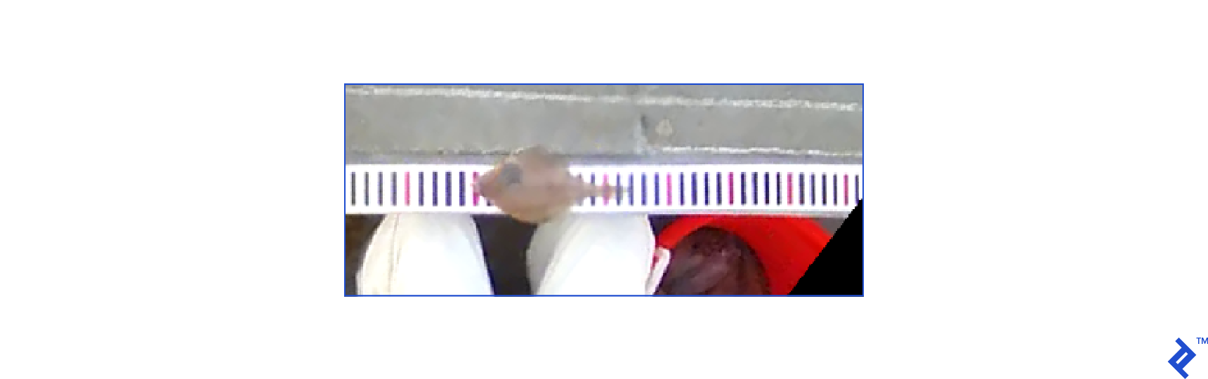 a photograph of the cropped ruler