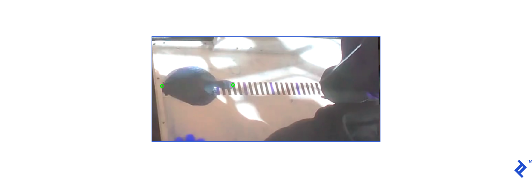 photograph showing the distance between a fish head and tail