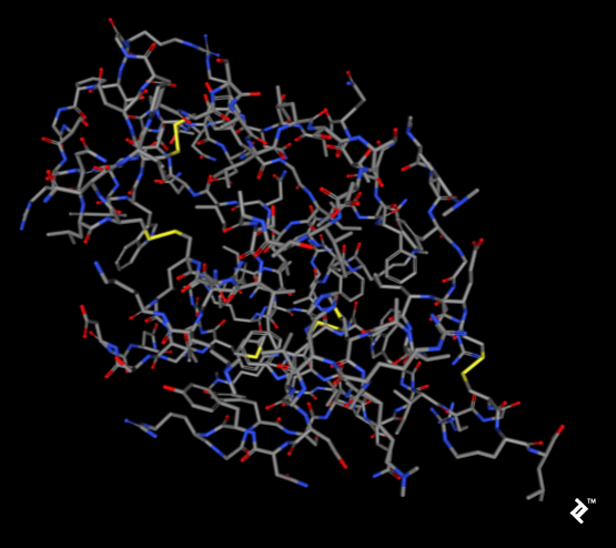Stick representation with CPK coloring showing sulfur disulfide bonds in yellow