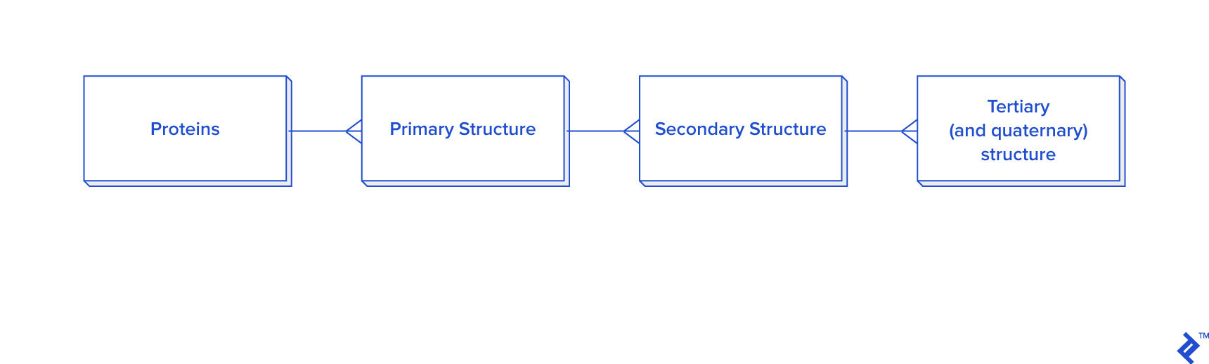The natural hierarchy of disulfide bond data that would result in a database in third normal form