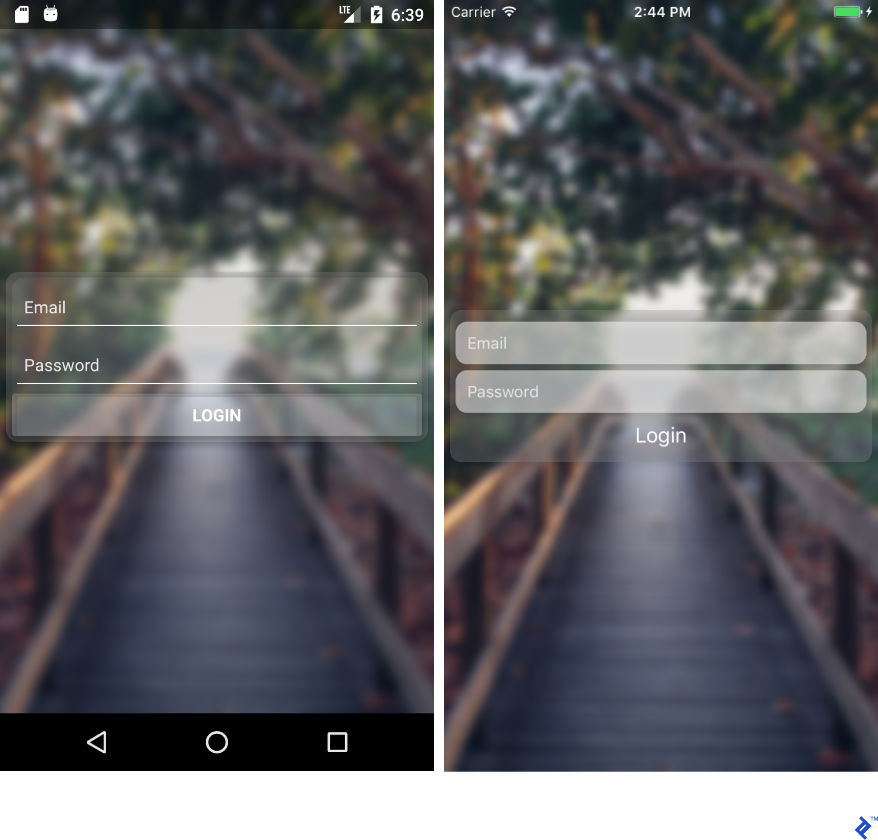 Final generated login form app