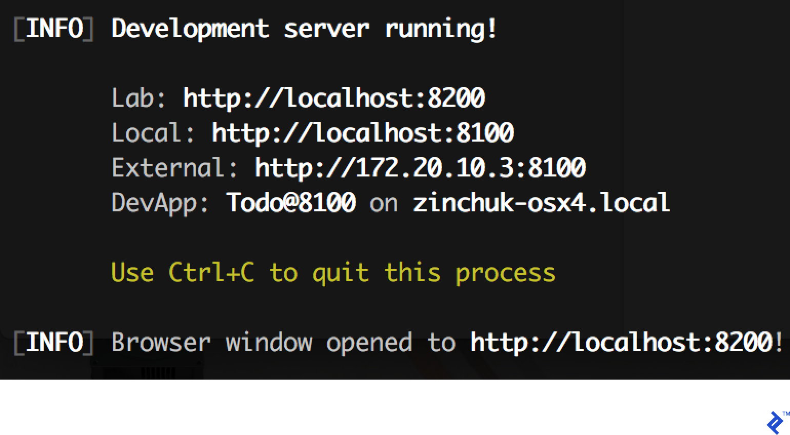 "ionic lab" process output