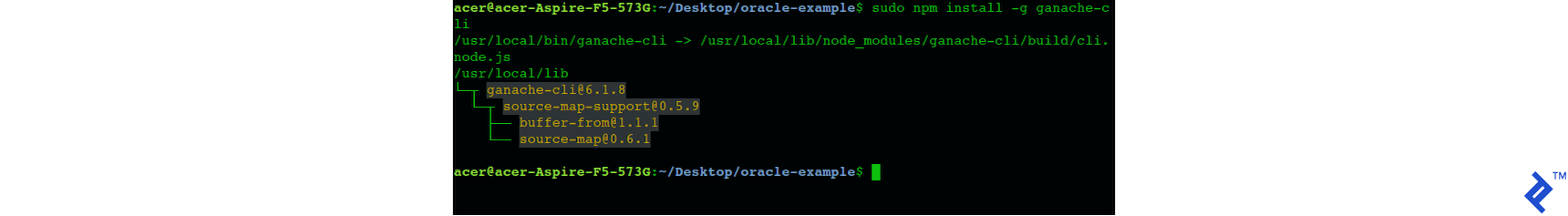 Screenshot of Ganache CLI installation