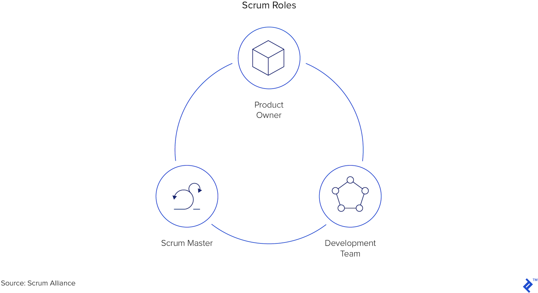 Как именно скрам мастер служит команде разработки. Scrum команда. Scrum Team roles. Scrum картинка. Основные роли в методологии Scrum.