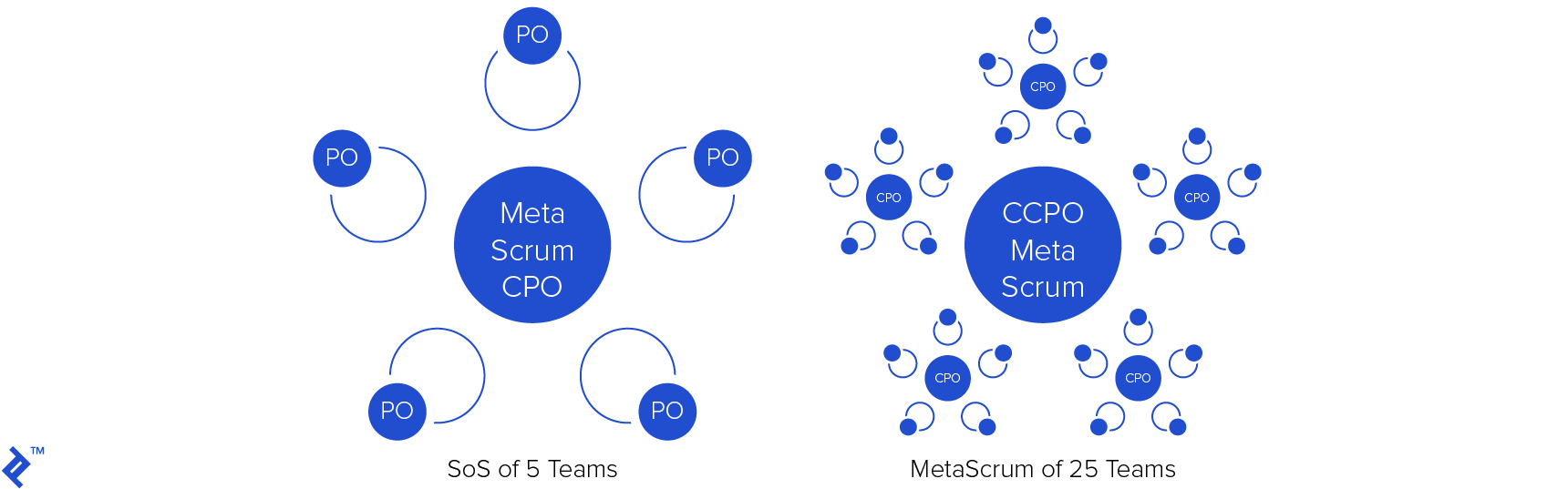 Scrum@Scale team Scrum nesting