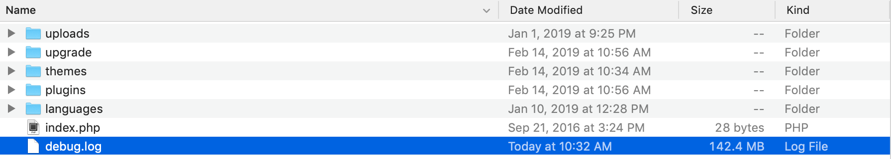 Screenshot of the error log file