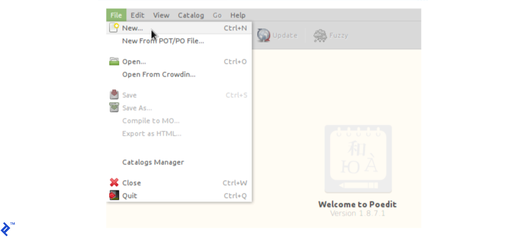 View inside of Poedit.