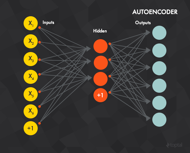 An autoencoder is a neural deep learning network that aims to learn a certain representation of a dataset.