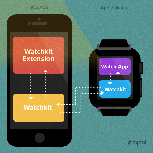 Understanding the way an Apple Watch interacts with other iOS apps on the iPhone is integral to being a successful Apple Watch developer.