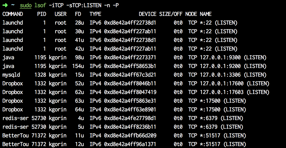 What is listening on the same port as our development server?