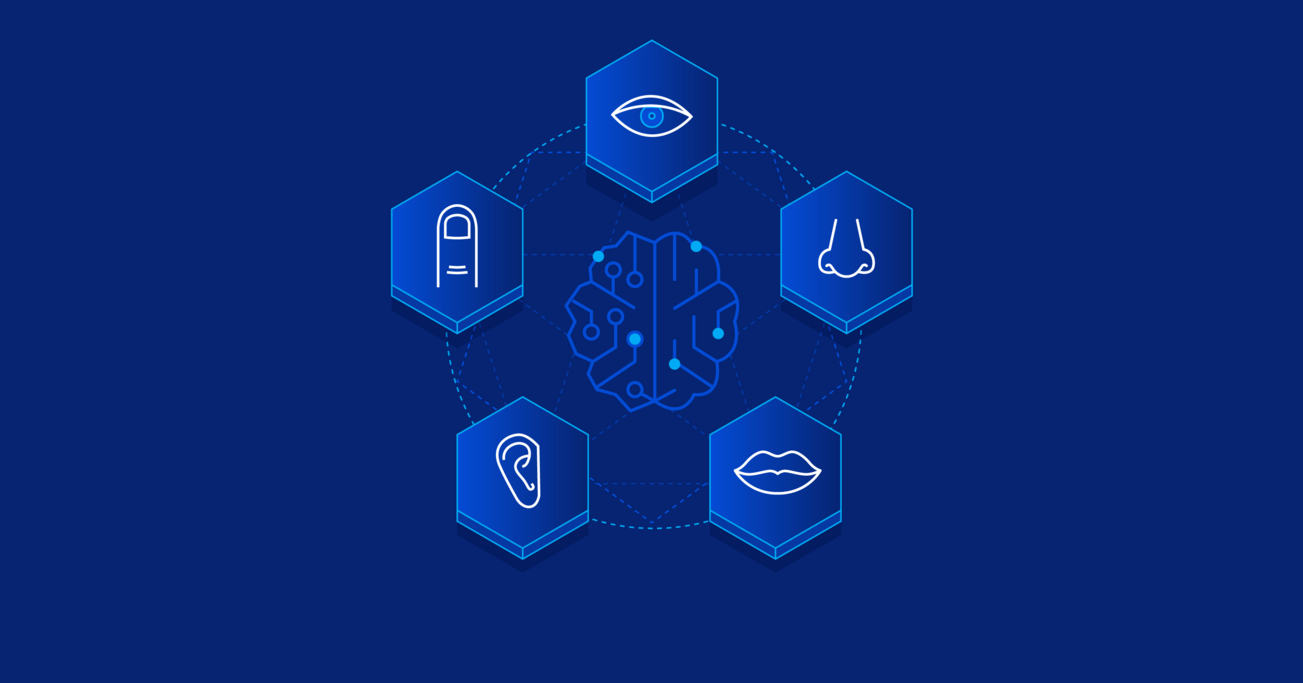 Sense Design A Guide to the Principles of Sensory Design | Toptal®