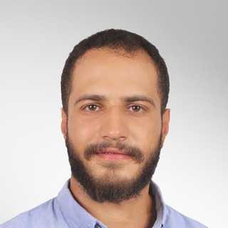 Nour Helal, Senior computer vision Programmer and Consultant.