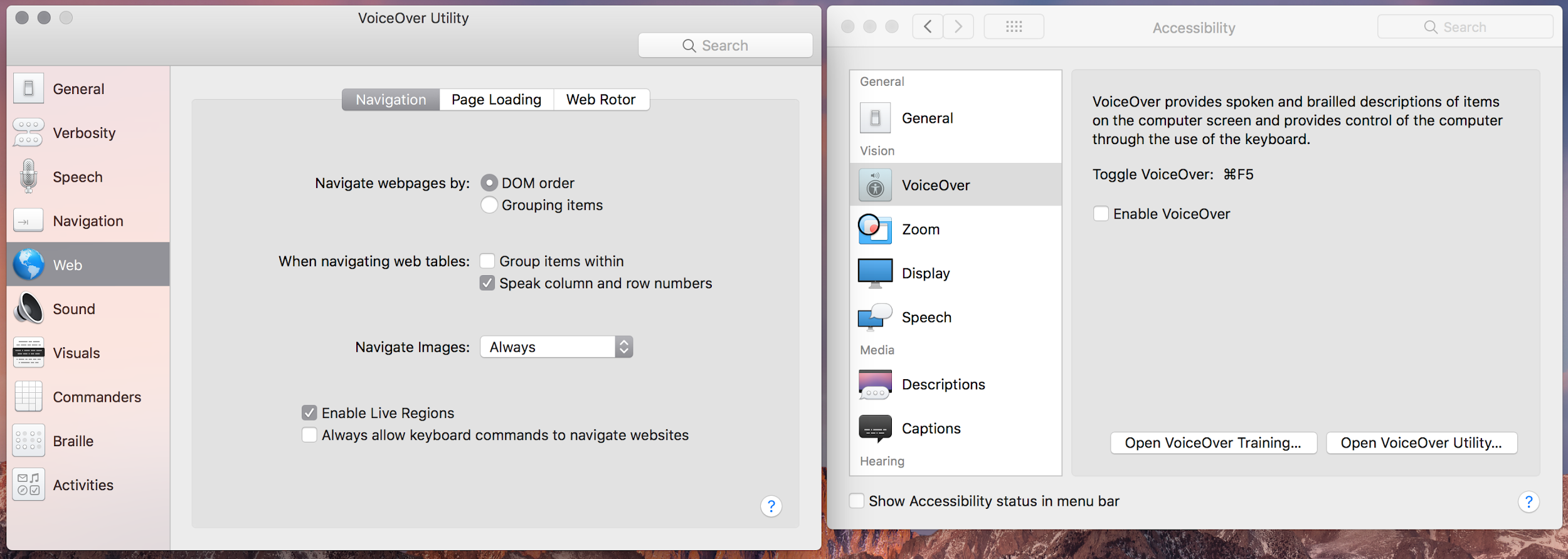Voiceover for Mac allows web accessibility for blind users
